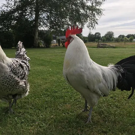 Buitenhuisje De Veldweg
