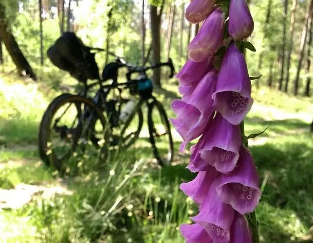 Buitenhuisje De Veldweg Heerde