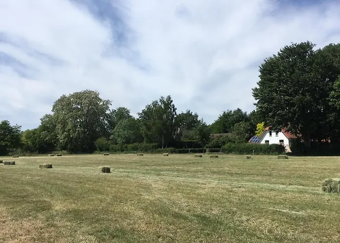 Buitenhuisje De Veldweg *