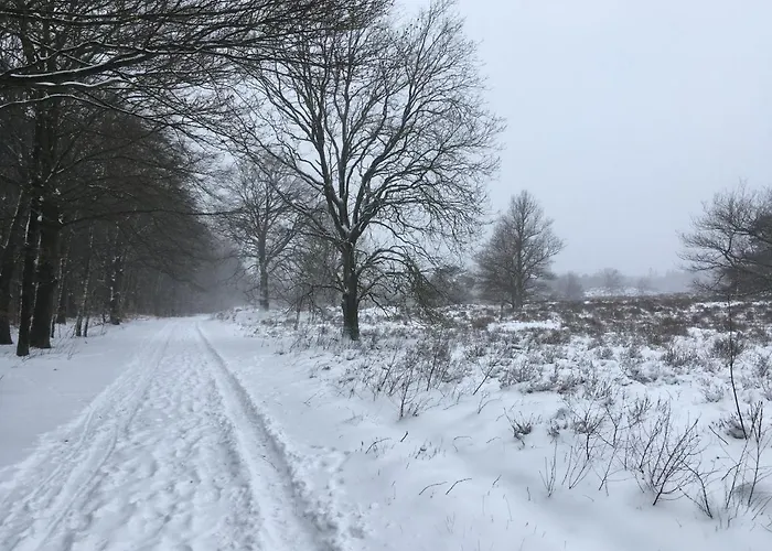 Buitenhuisje De Veldweg Semesterbostad *