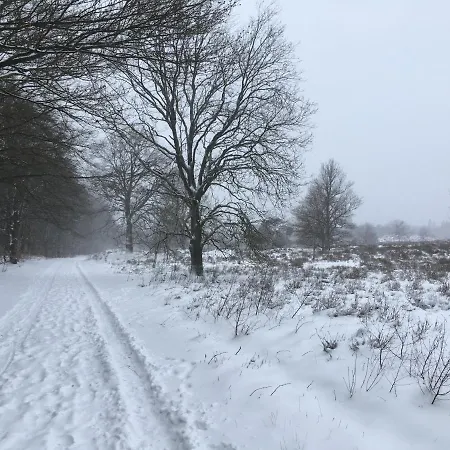 Buitenhuisje De Veldweg Casa vacanze *