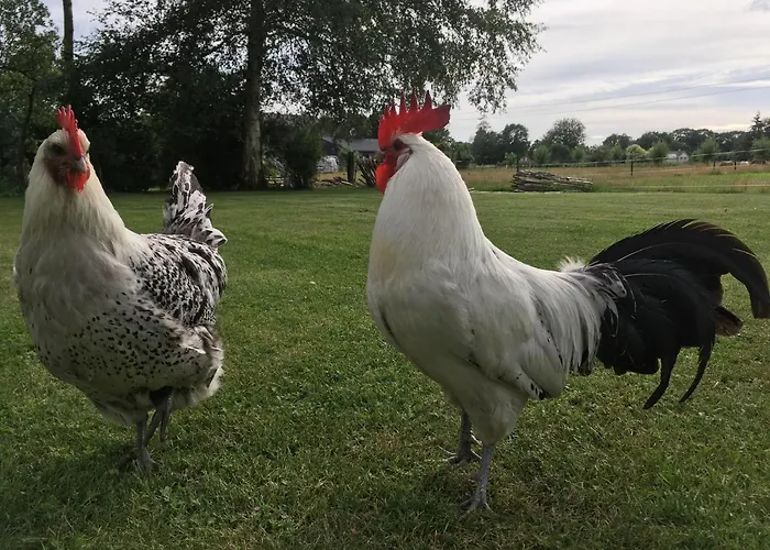 Buitenhuisje De Veldweg