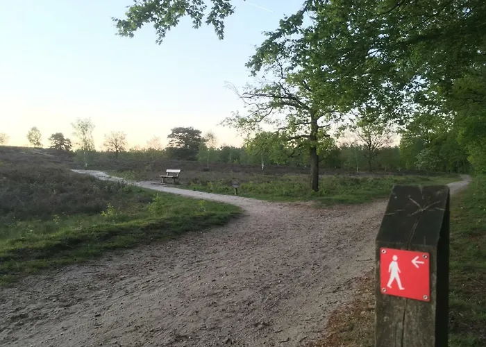 Дом отдыха Buitenhuisje De Veldweg